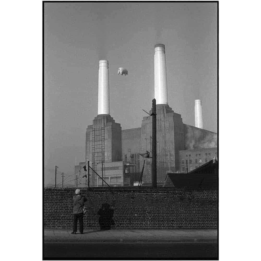 Pink Floyd Animals: Revisiting Classic Albums Pink Floyd Animals Battersea Power Station by Carinthia West.