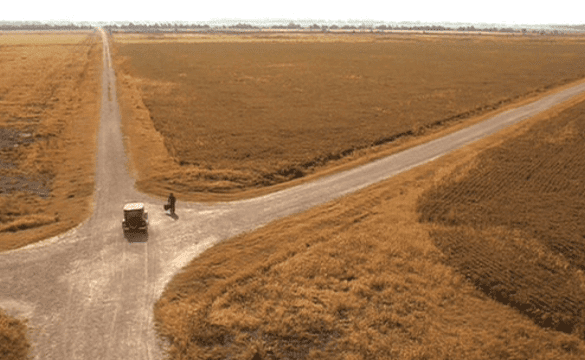 chris thomas king o brother where art thou