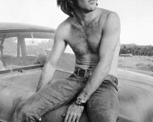 dennis wilson