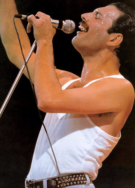 Freddie Mercury's Net Worth - How Much Was It, And Who Received It After His Unfortunate Death? freddie mercury's net worth