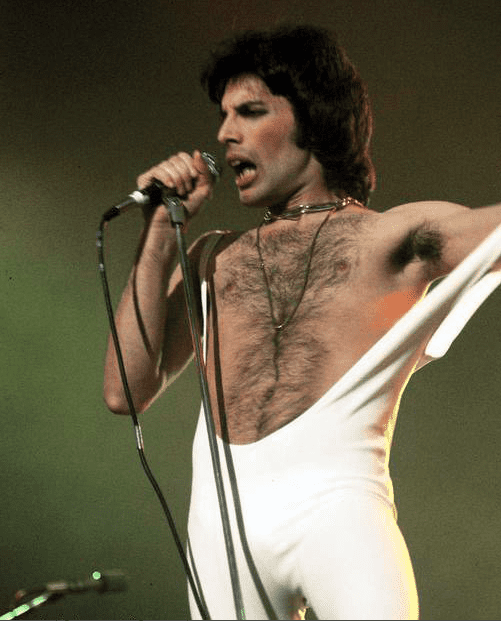 Freddie Mercury's Net Worth - How Much Was It, And Who Received It After His Unfortunate Death? freddie mercury net worth at death