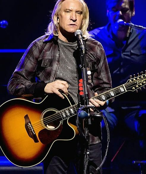 joe walsh's net worth