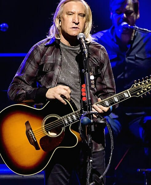 joe walsh's net worth