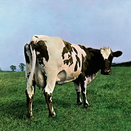 Pink Floyd's Album Covers | A Visual Odyssey pink floyd's album covers