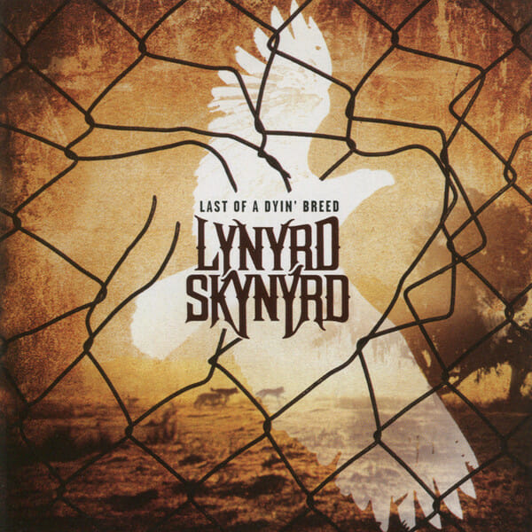 Lynyrd Skynyrd's Best Albums | A Deep Dive Into Southern Rock lynyrd skynyrd discography