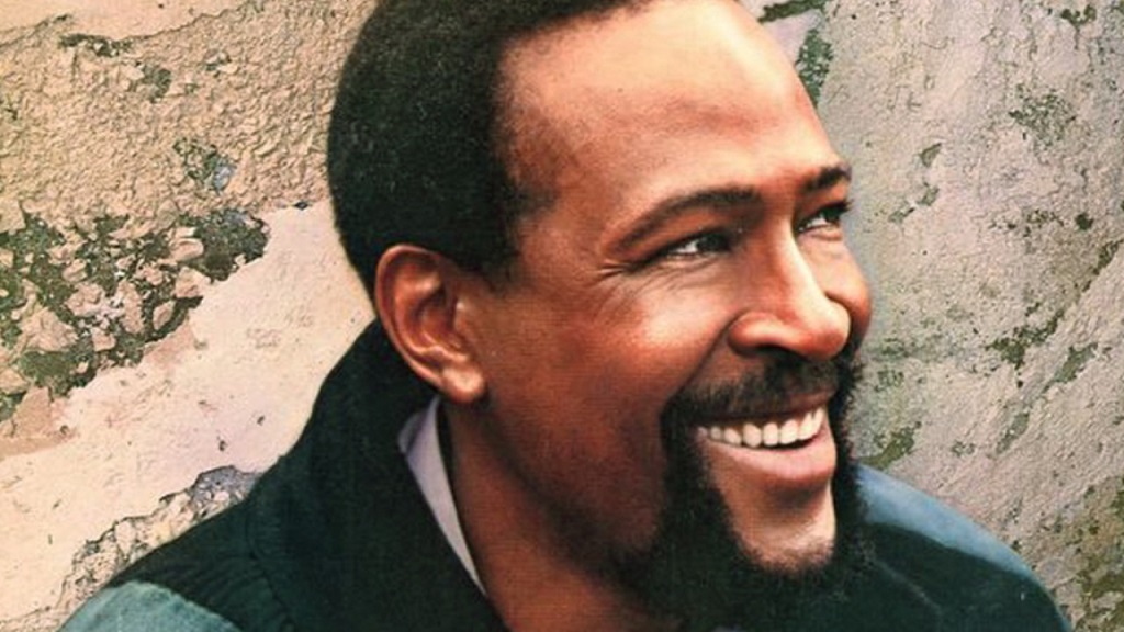11 Musicians Who Lost Everything at the Height of Fame Marvin Gaye