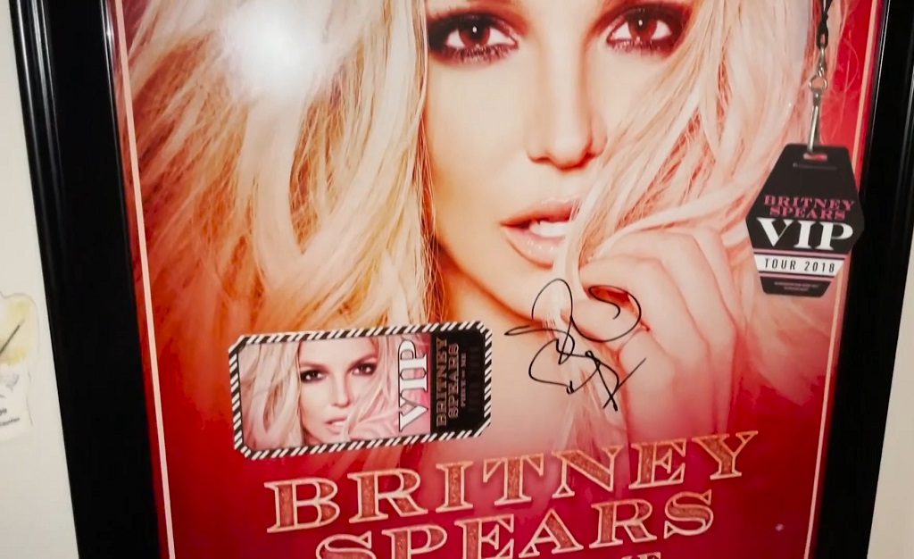 Britney Spears Piece of Me tour VIP pass