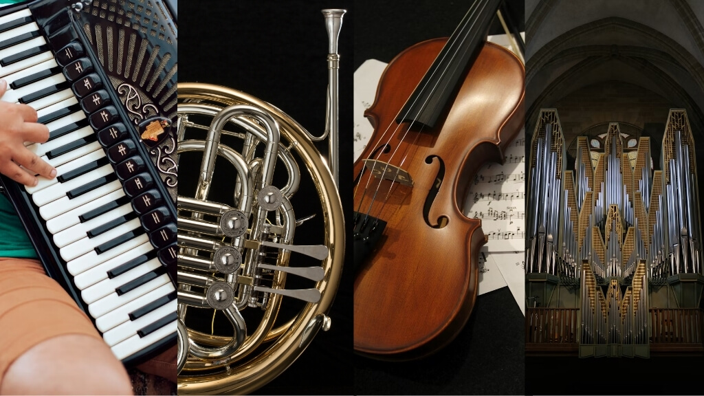 Images of an accordion, French horn, violin, and pipe organ illustrating expert-level musical instruments