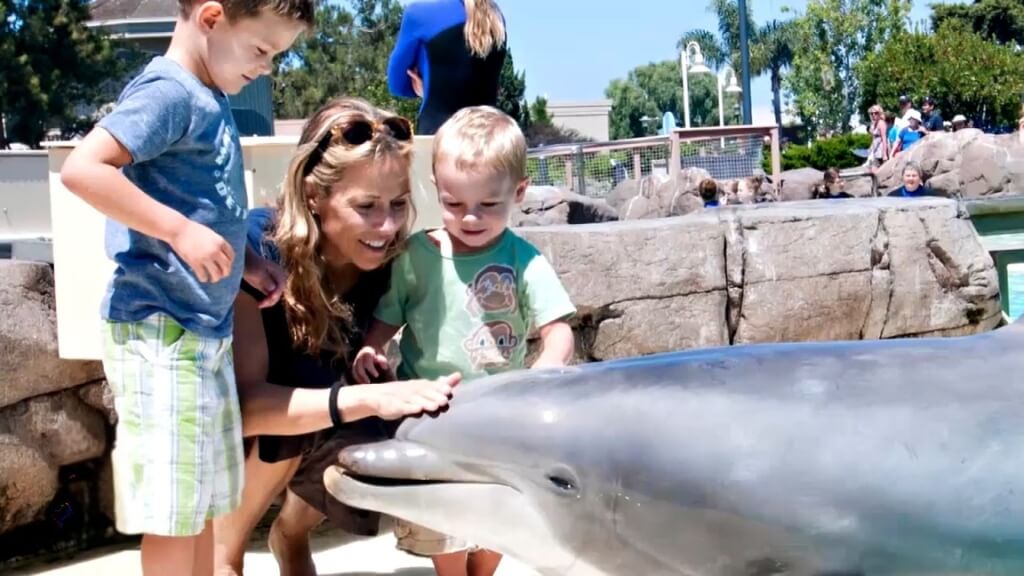 Musicians Who Adopted Children