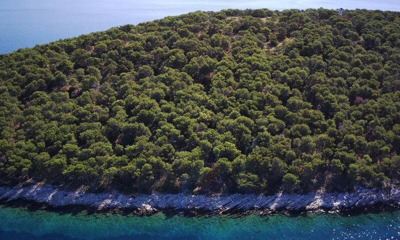Aerial view of a green, forested island with dense trees, surrounded by clear blue sea